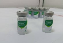 SANTA CATARINA ATINGE 89% DE COBERTURA NA VACINAÇÃO CONTRA A GRIPE