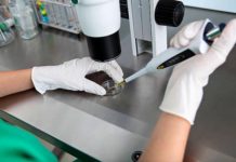 JUSTIÇA CATARINENSE DETERMINA ESTADO FORNECER FERTILIZAÇÃO “IN VITRO”