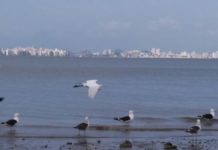 OITO CIDADES CATARINENSES ESTÃO EM SITUAÇÃO DE EMERGÊNCIA