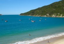 DECRETADA PRISÃO PREVENTIVA DE EMPRESÁRIO ACUSADO DE DESTRUIR FLORESTA DE ÁREA DE PRESERVAÇÃO NOS INGLESES