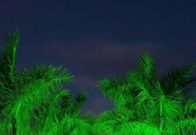 PREFEITURA DE FLORIANÓPOLIS INAUGURA O NOVO PARQUE DE COQUEIROS