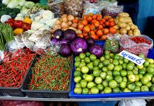 SÃO JOSÉ TERÁ MERCADO PÚBLICO A PARTIR DESSE SÁBADO (30)