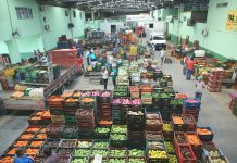 ABASTECIMENTO NO CEASA/SC JÁ ESTÁ 90% RESTABELECIDO