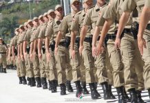 FORÇA DE SEGURANÇA DE SC E MAIS DEZ ESTADOS REALIZAM OPERAÇÃO NAS FRONTEIRAS