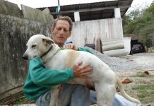 PREFEITURA DA CAPITAL DOA COLEIRAS PARA COMBATER LEISHMANIOSE