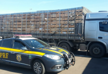 BR-101: PRF FLAGRA CAMINHONEIRO QUE DIRIGIA POR QUASE 24 HORAS