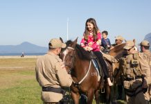 DOMINGO: CRIANÇAS DA GRANDE FLORIANÓPOLIS PODERÃO DAR PASSEIO EM CAVALOS DA PM