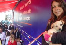 SÃO JOSÉ REALIZA MUTIRÃO PARA CASTRAÇÃO DE ANIMAIS DOMÉSTICOS