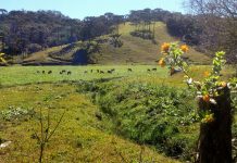 METEOROLOGISTAS DE SC PREVEEM PRESENÇA DO SOL ATÉ QUINTA-FEIRA