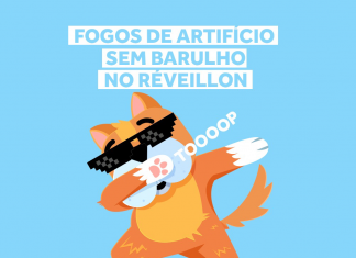 RESPEITO: REVEILLION EM FLORIANÓPOLIS VAI TER FOGOS SEM BARULHO