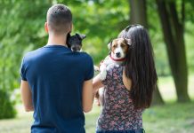 GUARDA COMPARTILHADA DE ANIMAIS APÓS SEPARAÇÃO JÁ É ANALISADA NO SENADO