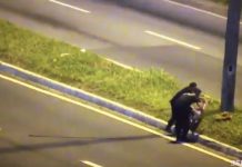 CARINHO E SENSIBILIDADE DE AGENTES DA GUARDA MUNICIPAL DE FLORIANÓPOLIS