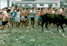 PM x FARRA DO BOI: “OPERAÇÃO QUARESMA” VAI COMBATER CRIMES CONTRA OS ANIMAIS