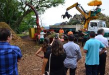 COMPOSTAGEM E LIXO ZERO: FLORIANÓPOLIS OPERA O MELHOR SISTEMA DO BRASIL