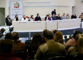 ALESC DEBATE PANORAMA DOS CRIMES DE VIOLÊNCIA CONTRA A MULHER