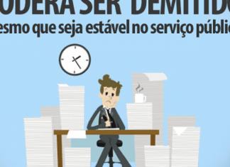 CONGRESSO NACIONAL VOTA EM AGOSTO PROJETO QUE ALTERA AS REGRAS DE ESTABILIDADE DO SERVIDOR PÚBLICO