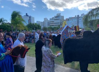 “VOU BOTAR MEU BOI NA RUA”:FLORIANÓPOLIS, A CAPITAL DO FOLCLORE CATARINENSE