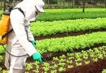 DEFENSIVOS AGRÍCOLAS: CARLOS MOISÉS CHAMA PRODUTORES DO AGRONEGÓCIO PARA DECIDIR SOBRE TAXAÇÃO DOS DEFENSIVOS