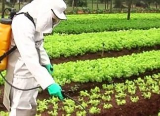DEFENSIVOS AGRÍCOLAS: CARLOS MOISÉS CHAMA PRODUTORES DO AGRONEGÓCIO PARA DECIDIR SOBRE TAXAÇÃO DOS DEFENSIVOS