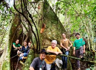 PROJETO FAUNA FLORIPA:AVES E MAMÍFEROS SERÃO MONITORADOS POR CÂMERAS