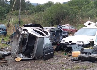 SC:15 PROJETOS DE AUTORIA DOS DEPUTADOS SÃO TRANSFORMADOS EM LEIS