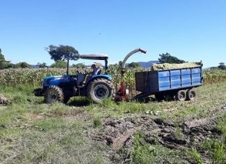 PREFEITURA DE PALHOÇA OFERECE SUPORTE TÉCNICO PARA QUALIFICAR A AGRICULTURA
