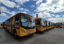 GOVERNO DO ESTADO ADQUIRE 300 ÔNIBUS PARA O TRANSPORTE ESCOLAR NOS MUNICÍPIOS