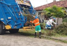 MEIO AMBIENTE: PREFEITURA DE FLORIANÓPOLIS AUMENTOU EM 2021 MAIS DE 30% COLETA DE VERDES NA CIDADE