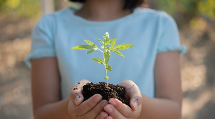 PALHOÇA DESENVOLVE AÇÕES DE COMBATE AO TRABALHO INFANTIL