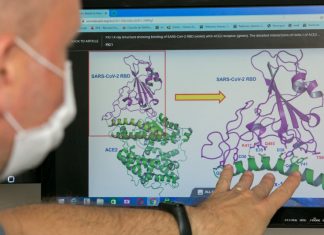 ALESC: PESQUISADORES DA UDESC EM LAGES DESENVOLVEM TESTE INÉDITO DE IDENTIFICAÇÃO DA COVID
