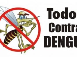 DENGUE: AÇÕES DE FISCALIZAÇÃO EM PALHOÇA SÃO FUNDAMENTAIS PARA COMBATER A CONTAMINAÇÃO PELO MOSQUITO