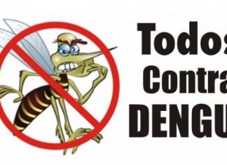 DENGUE: AÇÕES DE FISCALIZAÇÃO EM PALHOÇA SÃO FUNDAMENTAIS PARA COMBATER A CONTAMINAÇÃO PELO MOSQUITO