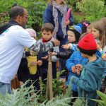 MEGA PROGRAMAÇÃO:FLORIANÓPOLIS COMEMORA SEMANA MUNDIAL DO MEIO AMBIENTE