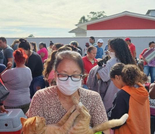 SAÚDE ANIMAL: PREFEITURA DE SÃO JOSÉ REALIZA AMANHÃ MUTIRÃO DE CASTRAÇÃO DE CÃES E GATOS