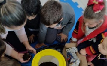 SUSTENTABILIDADE: REDE DE ENSINO DE PALHOÇA LEVA CONHECIMENTO AMBIENTAL PARA AS SALAS DE AULA