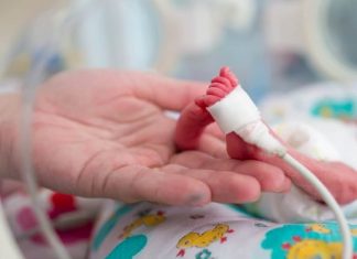 SC: SÃO JOSÉ MANTÉM PROGRAMA DE REFERÊNCIA NO PARTO E TRATAMENTO DE BEBÊS PREMATUROS