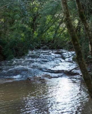 SC: ALESC PROMOVE CURSO DE ATUALIZAÇÃO EM GESTÃO AMBIENTAL PÚBLICA