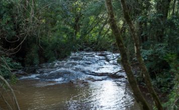 SC: ALESC PROMOVE CURSO DE ATUALIZAÇÃO EM GESTÃO AMBIENTAL PÚBLICA