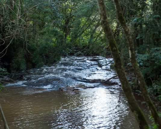 SC: ALESC PROMOVE CURSO DE ATUALIZAÇÃO EM GESTÃO AMBIENTAL PÚBLICA