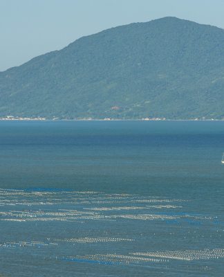 EFEITOS DAS CHUVAS: SETOR DE MARICULTURA DE PALHOÇA ACUMULA GRANDES PERDAS