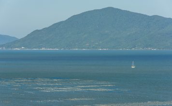 EFEITOS DAS CHUVAS: SETOR DE MARICULTURA DE PALHOÇA ACUMULA GRANDES PERDAS
