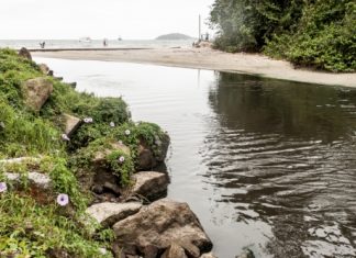CRIME AMBIENTAL EM PRAIA DE FLORIANÓPOLIS: PREFEITURA MULTA A CASAN