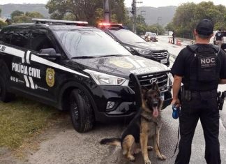 INVESTIGAÇÕES POLICIAIS: CÃES TREINADOS PODERÃO CIRCULAR EM ÔNIBUS E ESPAÇOS PÚBLICOS EM SC