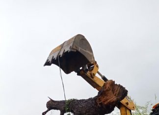 TRÉGUA DAS CHUVAS EM FLORIANÓPOLIS: EQUIPES DA PREFEITURA REALIZAM SERVIÇOS DE RECUPERAÇÃO DA INFRAESTRUTURA