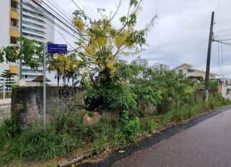 PODER DE POLÍCIA: PREFEITURA DE SÃO JOSÉ ADOTA MEDIDAS EXTREMAS CONTRA TERRENOS E IMÓVEIS ABANDONADOS