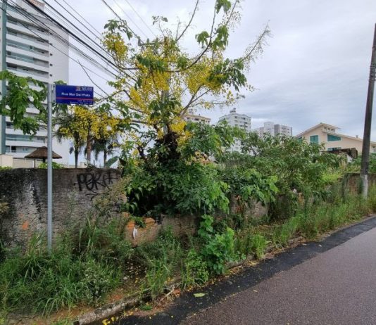 PODER DE POLÍCIA: PREFEITURA DE SÃO JOSÉ ADOTA MEDIDAS EXTREMAS CONTRA TERRENOS E IMÓVEIS ABANDONADOS