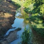 PACTO PELO SANEAMENTO: LIMPEZA DE CANAIS DE DRENAGEM EM BAIRROS DE FLORIANÓPOLIS
