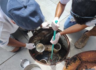 ESGOTO NA REDE PLUVIAL: DONOS DE IMÓVEIS IGNORAM NOTIFICAÇÕES DA PREFEITURA DE FLORIANÓPOLIS