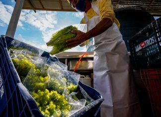 SC: PRODUTORES RURAIS ENFRENTAM DIFICULDADES TÉCNICAS PARA EMISSÃO DA NOTA FISCAL ELETRÔNICA