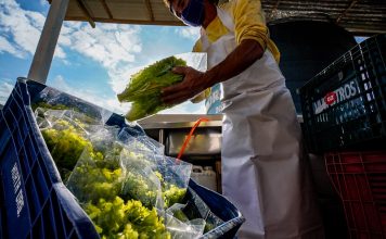 SC: PRODUTORES RURAIS ENFRENTAM DIFICULDADES TÉCNICAS PARA EMISSÃO DA NOTA FISCAL ELETRÔNICA